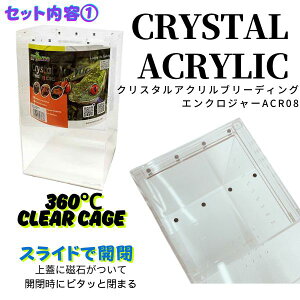 OWRZNX^ANu[fBOGN[W[ACR08@঒ރP[X