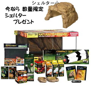 カメ 飼育アクセサリー 爬虫類 飼育セットの人気商品 通販 価格比較 価格 Com
