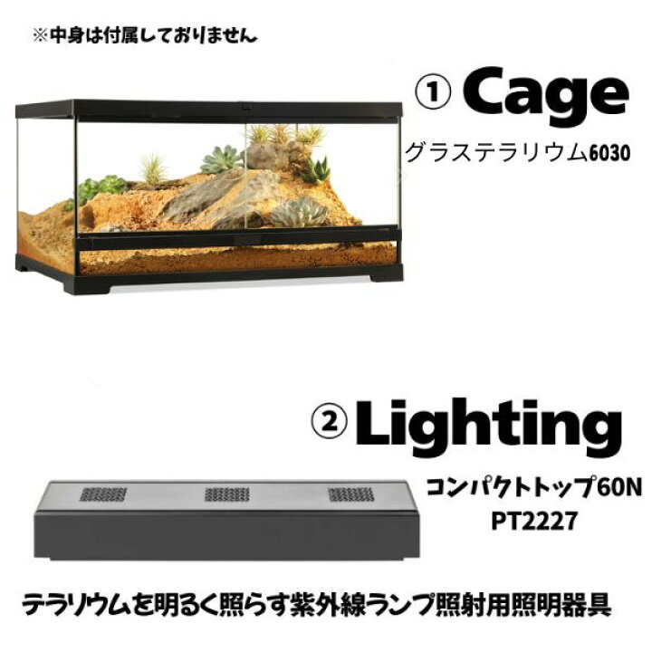 楽天市場】【初心者向け】フトアゴヒゲトカゲ＆リクガメ飼育セットA 