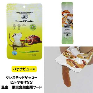 QbR[AȂǍʕH|L[voOYoiis[60g