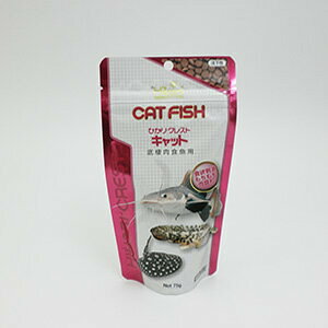 L[ЂNXgLbg75gy[OKzy^[pbNvXOKz