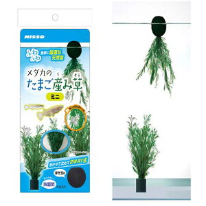 }Jjb\[_Ĵ܂Yݑ~jNAP|589y[OKzy^[pbNvXOKz