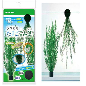 }Jjb\[_Ĵ܂YݑNAP|590y[OKzy^[pbNvXOKz