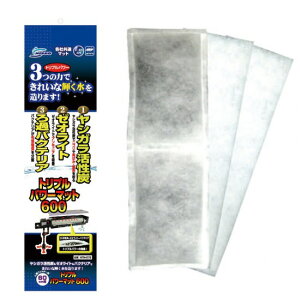 X[p[Z[}Jjb\[gvp[}bg600