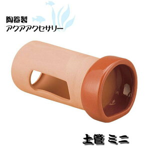 Xh[퐻ANAANZT[yǃ~j@ANZT[