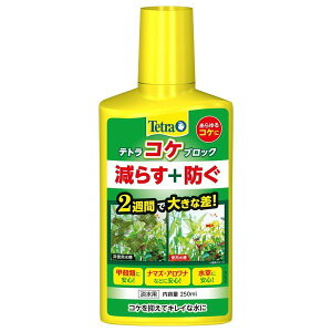 XyNguYWpegRPubN250mlRP