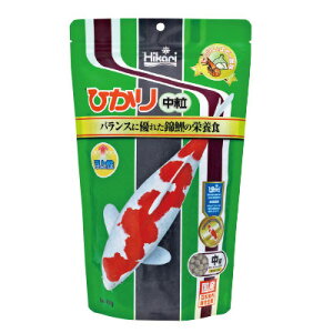 L[Ђ蒆400gy^[pbNvXOKz