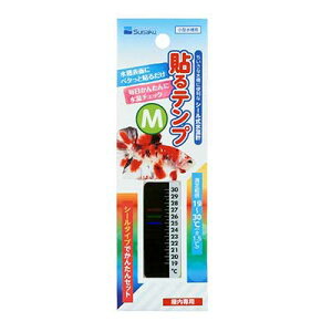 \evMy[OKzy^[pbNvXOKz