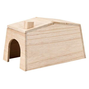 }J@CASA@MLP-18nlY~̂̂ĈSnEX