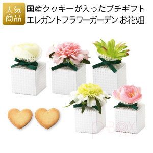 クッキー 個包装 かわいいの人気商品 通販 価格比較 価格 Com クッキー 個包装 かわいいの人気商品 通販 価格比較 価格 Com