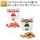 【賞味期限間近 セール商品】プチギフト お菓子 退職｜ポシュボックス ポップコーン｜ポップコーン ありがとう お礼 お菓子 結婚式 おしゃれ ありがとう 感謝 産休 可愛い 女性 子供 かわいい ばらまき お返し