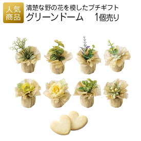 結婚式 プチギフト｜グリーンドーム 単品｜ 退職 お礼 お菓子 退職プチギフト 送別プチギフト お菓子プチギフト 個包装 お世話になりました おしゃれ ありがとう 感謝 産休 可愛い 女性 子供 かわいい ばらまき お返し クッキー ハートクッキー ナチュラル 花 ガーデン