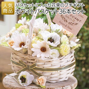  v`Mtg ސEbzCgoXPbg36{Zbgb َq ސEv`Mtg ʃv`Mtg َq  bɂȂ܂  肪Ƃ  Yx   q 