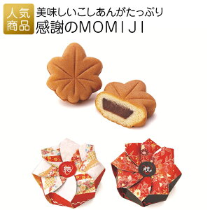v`Mtg َq ސEbӂMOMIJIb 2 p Ɩp ̑i LOi  zp q   ii Cxg z   Mtg