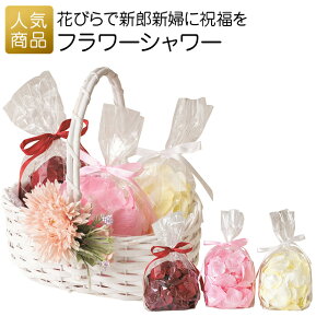 j Ԃ Mtgbt[V[b 2 p Ɩp ̑i LOi  zp q   ii Cxg ސE z   1000~