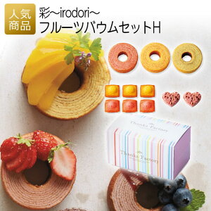 j Ԃ Mtgbʁ`irodori`t[coEZbgHb 2 p Ɩp ̑i LOi  zp q   ii Cxg ސE z   1000~