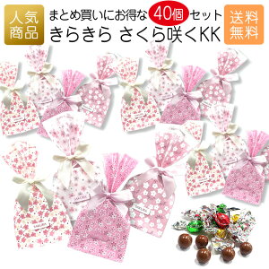 v`Mtg َq b炫炳炭 40ZbgbސE `R[g v[g  َq 2023  킢   E z q ܂Ƃߔ w   000ksk01