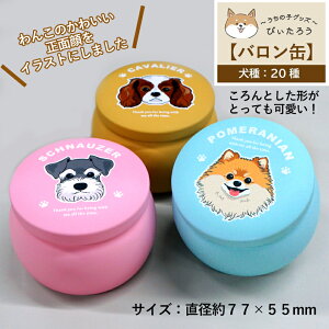  ybg ʁbi o [tFCX[b g[c g[c Mtg ̎q  v[g 蕨 gїp U o