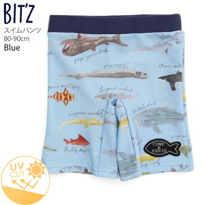 y[J[i2530~zIׂ镟2_1100~  XCpc T}ӕ UVJbg j̎q xr[ EGXgS C̐ Cpc Cp v[ C xr[ 1 2 Ԃ