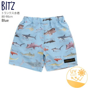 y2_990~ΏہzIׂ镟2_1100~ y[J[i2860~z gNX T[tpc T}ӕ UVJbg j̎q xr[ EGXgS XCEFA Cpc Cp v[