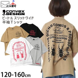 【2BUY 300円OFF】CONVEX コンベックス スリットワイド半袖Tシャツ バック かぶと虫 カブトムシ くわがた クワガタ 昆虫 ビートル プリント 綿100% キッズ ジュニア 男の子 625273-1 120-160cm トップス 子供 子供服 夏【メール便対象】