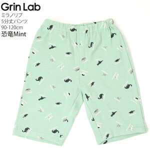 Iׂ镟2_1100~ 5pc ~mun[tpc  n[g t@Xgt[h ׂ  ͂炭 j̎q ̎q LbY t EGXgS Xgb`pc GrinLab O