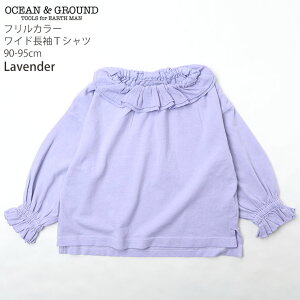Dݕ2_2200~ y[J[i2970~zOCEAN&GROUND ChTVc tJ[ ݕt ̎q LbY xr[ tH 100% T OX[u gbvX q I[VAh