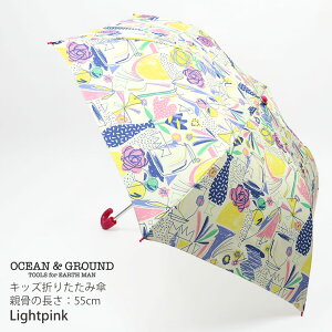 y[J[i2530~zDݕ2_2200~ ܂肽ݎP 55cm 6{  o_i j̎q ̎q LbY  Jp JP 蓮 LbY܂ݎP LbYP qP CObY J q