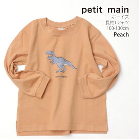 petit main プティマイン 長袖Tシャツ はたらく車 はしご車 恐竜 プリント 綿100% 名前タグ付き キッズ 男の子【 9541201 】【 100cm 110cm 120cm 130cm 】プティプラ カジュアル トップス 子供 子供服 通園 通園 春秋 【メール便対象】