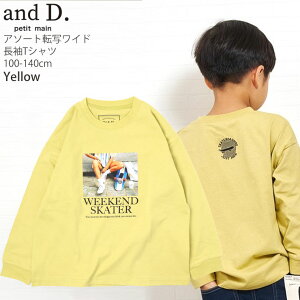 Dݕ2_2200~ y[J[i1309~zand D. petitmain TVc ChVGbg ]ʃvg vbcF XP{[ h[ic ejX j̎q ̎q LbY tH 100% T gb