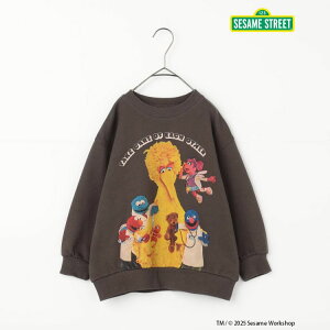 yOP10{zy[J[i3300~zp.premier g[i[  ZT~Xg[gR{ tHgvg j̎q ̎q LbY H~ 100% LN^[ XEFbg  gbvX s[hbg