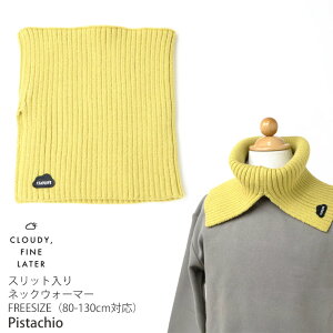 y2_990~ΏہzIׂ镟2_1100~ y[J[i1760~zCLOUDY FINE LATER jbglbNEH[}[ }`WAY Xbg n J[ j̎q ̎q LbY xr[ ~ h }t