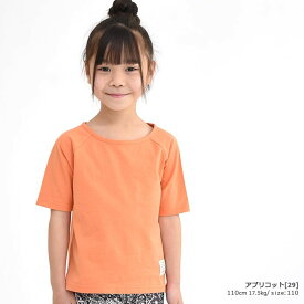 ☆選べる福袋2点1100円☆ 半袖Tシャツ 無地 シンプル キッズ 女の子 男の子 ジュニア 綿100% 名前タグ付き 幼稚園 保育園 小学生 中学生 トップス 春 夏 100-150cm TORIDORY トリドリー 711104【メール便対象】