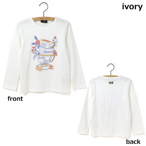 y50%OFFZ[zy[J[i4180~zzuppa di zucca TVc eB[^Cvg 100% ̎q xr[ H~ T OX[u gbvX q YbpfBYbJ 80 90   36023006b