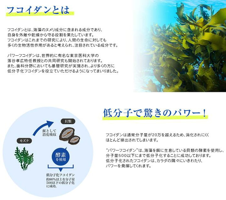 楽天市場】【公式】パワーフコイダンCG ゼリータイプ 50g×36包入り 