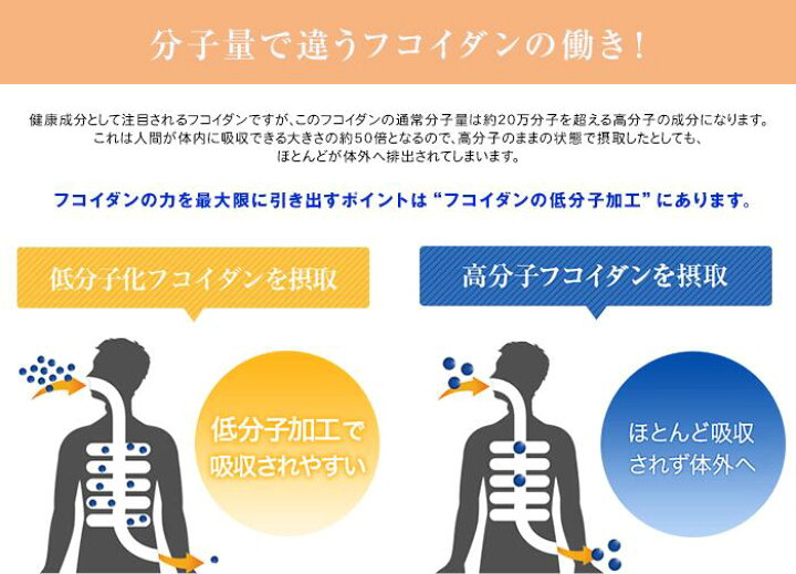 楽天市場】パワーフコイダンCG ゼリータイプ 50g×36包入り 【送料無料 