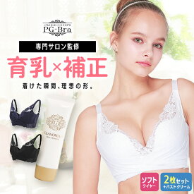 PGブラ（2枚セット）+ 【バストアップクリームセット付】の特別プラン｜ナイトブラ　バストケアクリーム　美乳　美胸　美バスト　補正下着