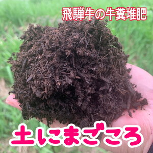 yzˋ͔̋wyɂ܂ 24L(12L×2)xL@엿@͔@o[N͔@ˋ@y@엿@yǁ@ƒ؉@؉@|@_Ɓ`ˋ̂́`