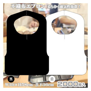 Gv ĝ l qp p sDz  25×80 2000 W39×H58 cm NEWj[A Ɩp ē Hp HX S p HGv