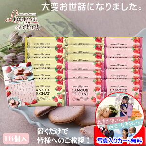 ސE Mtg َq  v`Mtg ܂  OhV NbL[ 킢 Ăَq  lߍ킹 bZ[WJ[h쐬 ʐ^  bɂȂ܂ ސE ސE̕i 