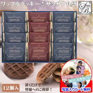 ސE v`Mtg  َq Mtg  bt NbL[  lߍ킹 bZ[WJ[h쐬 ʐ^  bɂȂ܂ ސE̕i ސEi ސE  e 