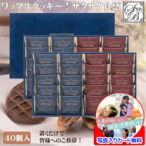 ސE v`Mtg  َq Mtg  bt NbL[  lߍ킹 bZ[WJ[h쐬 ʐ^  bɂȂ܂ ސE̕i ސEi ސE  e 