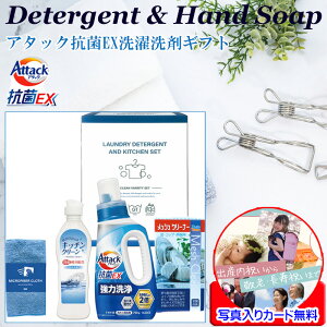  Mtg lߍ킹 A^bN   Mtg Zbg R EX L  ԉ Lb` 䏊 ܃Zbg { bZ[WJ[h쐬  zA wj 