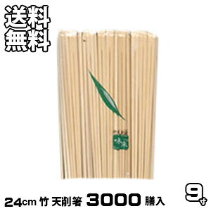 蔢 Ɩp |9V픢 3000VV ΂  ΂ ʔ 炵ys