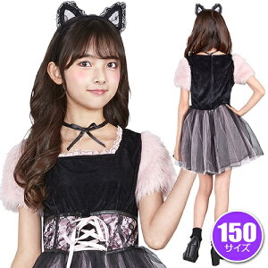 COSCHU! Xgx[Lbg 150@@[lR RXv L WjATCY qw JC RX`[ nEB ߑ Ȃ肫 Cxg]y_906490z