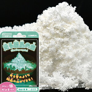 y5_܂Ń[ւ\z錋̎R@@[Lbg HLbg ̌Lbg ċx݉ۑ w eqV mߋ  Ȋw w av[g 蕨 ii qǂ Cxg]yB-