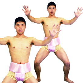 楽天市場 相撲 まわし 横綱の通販