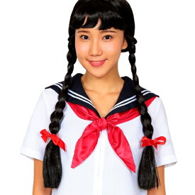 【1点までメール便も可能】[みつあみ かつら] カツランド みつあみおさげちゃん [みつあみ 委員長 田舎 おさげ かつら 懐かしいレトロ ウィッグ 仮装 変装 ハロウィン 演劇 イベント]【C-0260_863427】