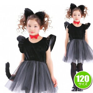 [NlR RXv] veBVm[ (120cm) [L lR q LbY RXv ߑ VY Cxg RX`[ nEB]y866602z