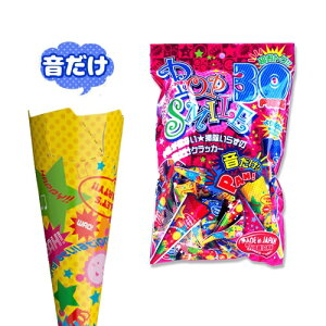 [NbJ[ p[eB[] |bvX}CNbJ[i30j y NbJ[ JlR p[eB[NbJ[ Cxg 񎟉 zyK-1304_101385zu89